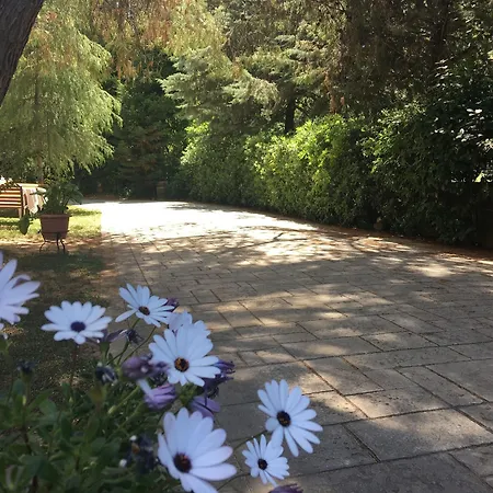Hotel Anastazia Luxury & Athens